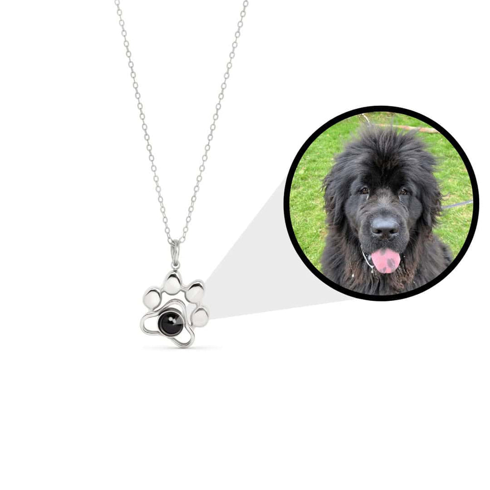 Colar Relicário Pet   Amor em Forma de Pata